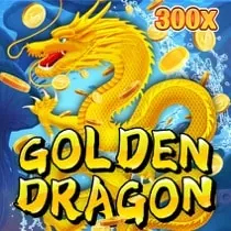 Promotions & Bonuses