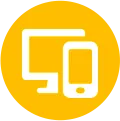 Password Recovery Process
